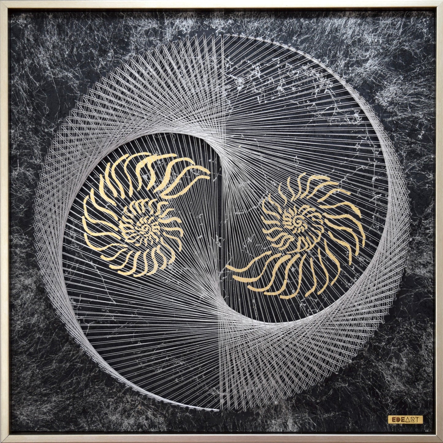 Nautilus Yin Yang
