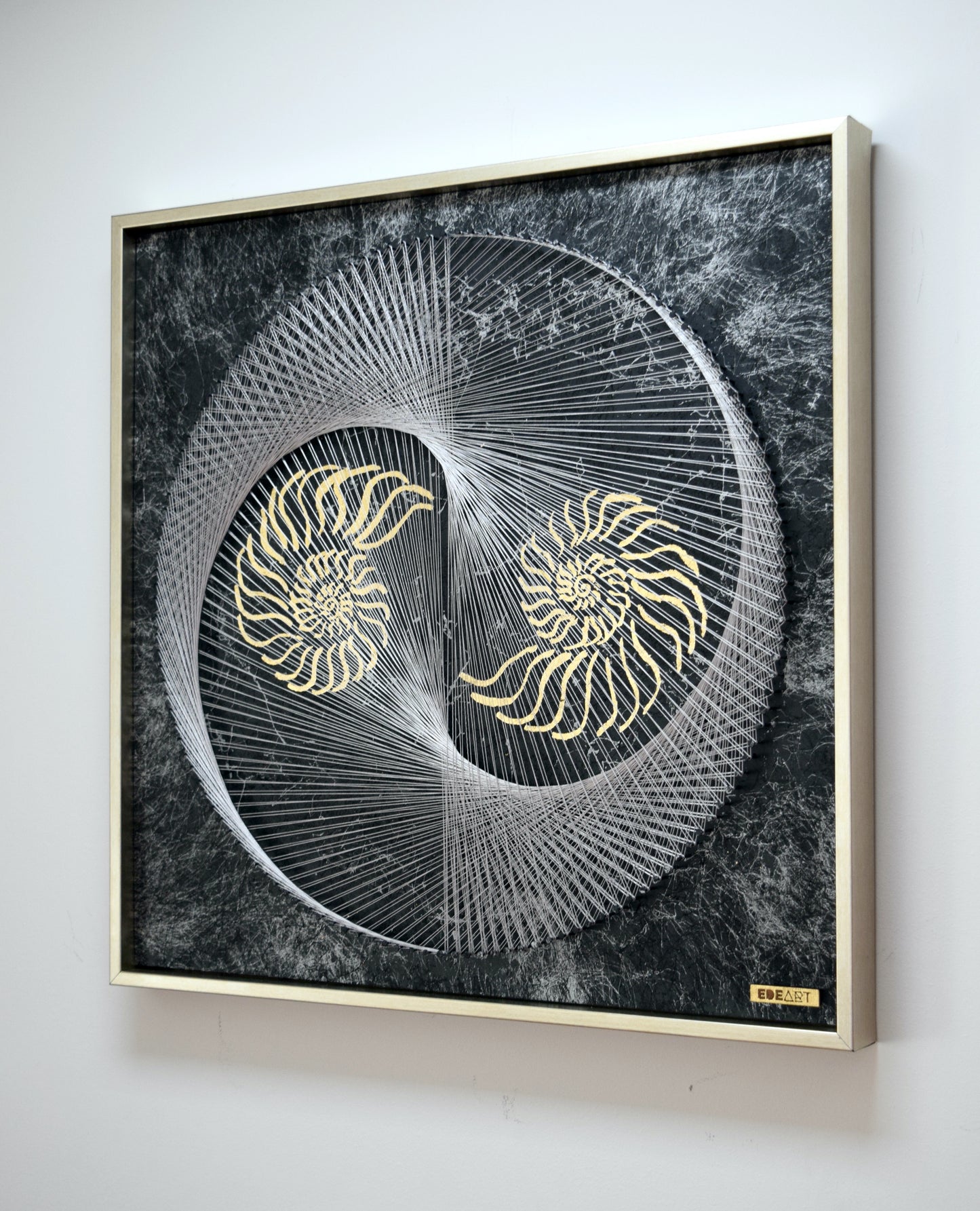 Nautilus Yin Yang