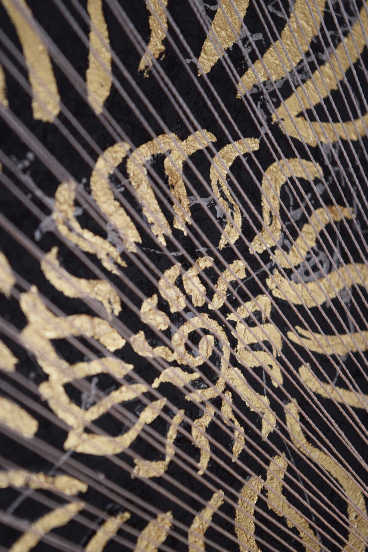 Macro photo of the spiral core of the gold nautilus – symbolizing inner growth, wisdom, and continuous evolution.