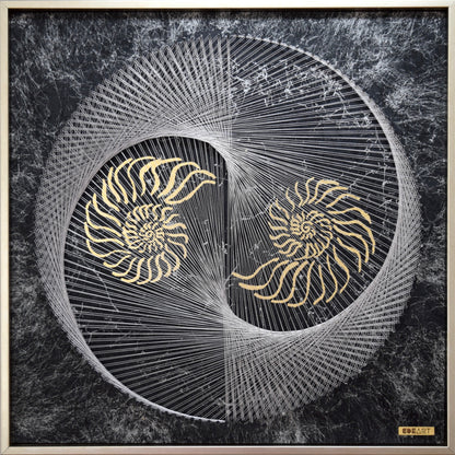 Nautilus Yin Yang