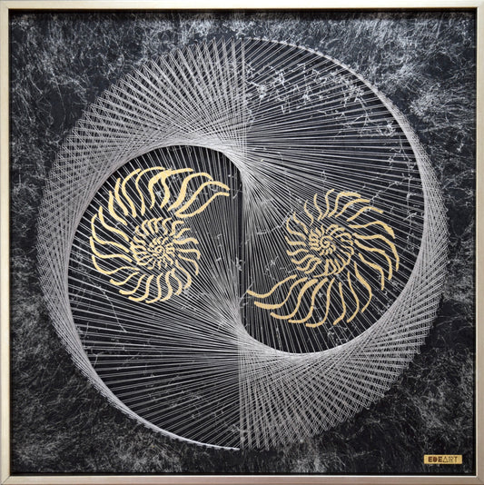 Nautilus Yin Yang