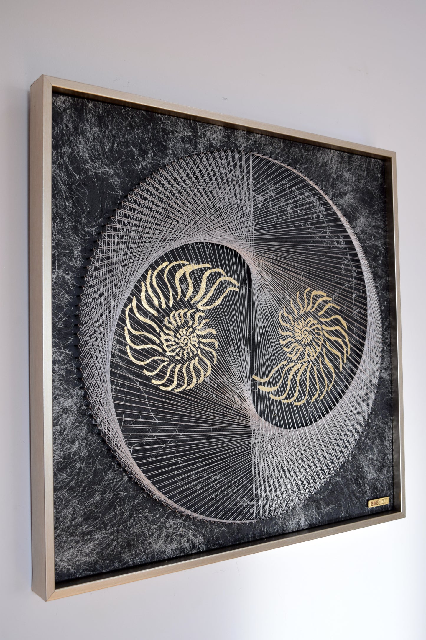 Nautilus Yin Yang